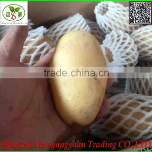 2016 Fresh Tomato/farm Fresh Tomatoes for Sale thumbnail-4