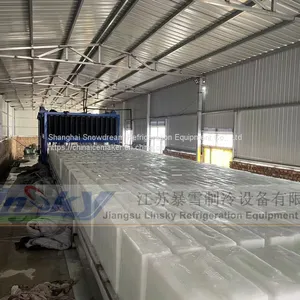 30Ton/24hr Block Ice Machine thumbnail-2