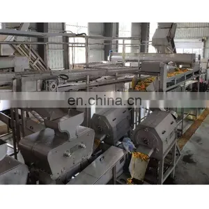 Candied Fruit and Dried Fruit Processing Production Line thumbnail-5