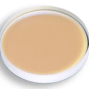 10045746 Lower Protective Lens 36*5 thumbnail-1