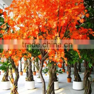Artificial Mini Tree Fabric Leaf Artificial Tree/artificial Maple Tree thumbnail-1