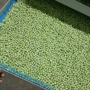 Freeze Dried Green Peas thumbnail-4