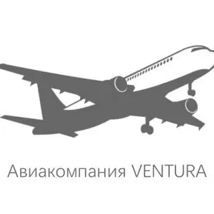 SILVERFIR BATTERY（SHAN DONG）CO.，LTD ，WANG ZE LONG，Ventura Aviation Battery thumbnail-3