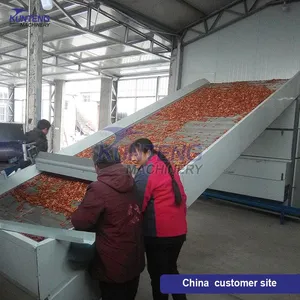 Industrial Rose Tea Banana Slices Day Lily Dried Tangerine Peel Ginseng Mesh Belt Dryer EPC thumbnail-2