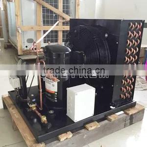 Outside Refrigeration Equipment for Refrigeration Cold Room thumbnail-1