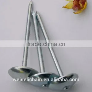 Galvanized Roofing Nails/ Umbrella Roofing Nails thumbnail-1