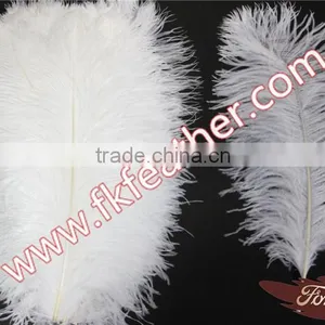 Large White Ostrich Feather Long 50cm-55cm Wedding And Stage Decorations thumbnail-3
