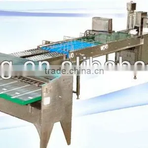 China Stainless Steel Egg Machine thumbnail-1