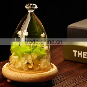 Round Glass Dome, Glass Bell Jar,Glass Dome Cover thumbnail-1