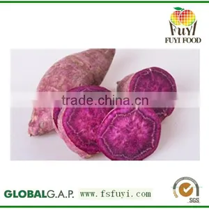 2015 China 100% Fresh Sweet Potato Rich in Fiber thumbnail-1
