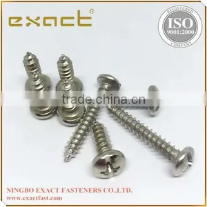 Tapping Screw Pan Head Screw High Quality Screws thumbnail-4