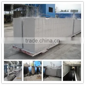 TOP Quality Fully Automatic Aac Autoclaved Aerated Light Weight Concrete Block Machine for Sales - TIANYUAN BRAND thumbnail-2