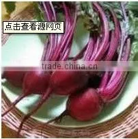 Natural Beet Red Food Coloring/Natural Color thumbnail-1