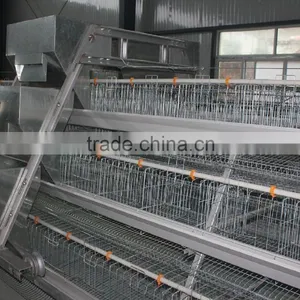 Hot Sale Layer Chicken Cages For Farm From Factory thumbnail-3
