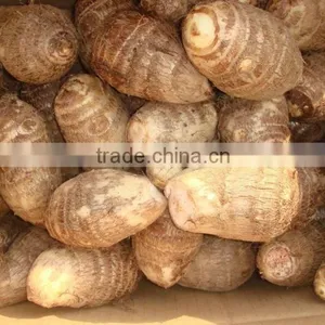 Chinese Dried Taro With Taro Root Plant Photos thumbnail-2