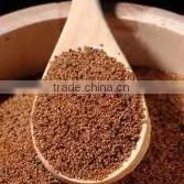 Teff Grain From South Africa thumbnail-1