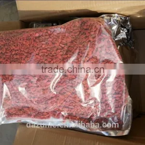 Chinese Goji Berry thumbnail-1