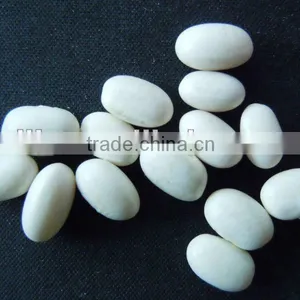 White Kidney Beans thumbnail-1