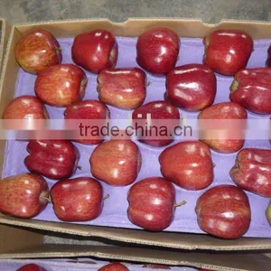 Gansu Huaniu Apple thumbnail-1
