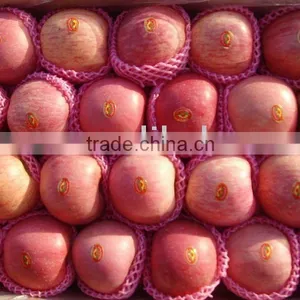 20122 Fresh Fuji Apple thumbnail-1
