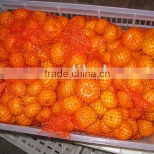 Babay Mandarin thumbnail-1