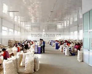Jinxiang Luteng Trading Co., Ltd. company overview - view 3 thumbnail