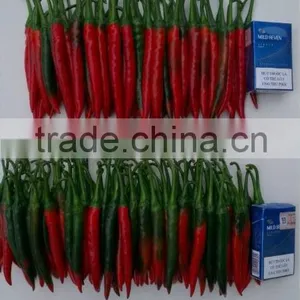 Fresh Red Chili (0084948425455 VIBER, WHATSAPP/SKYPE: VISIMEX05) thumbnail-5