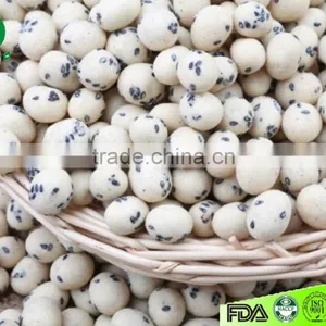 Coated Peanuts thumbnail-2