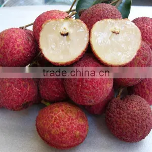 Litchi Tree Seedling thumbnail-1