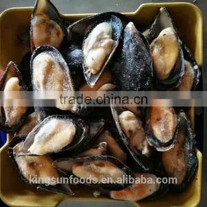 High Quality Half Shell Mussel With Good Price thumbnail-2