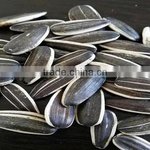 Chinese Sunflower Seeds 5009 With 270-280pcs thumbnail-1