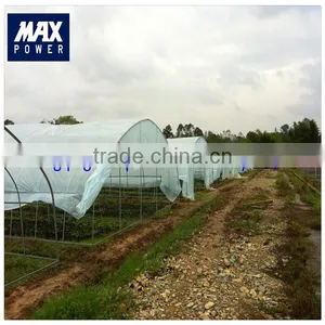Good Quality Vegetable Tunnel Greenhouse thumbnail-1