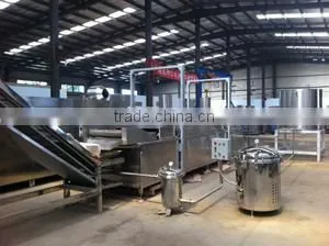 CE Fried Snack Food Making Machine/ CE Approved Frier Machine thumbnail-1
