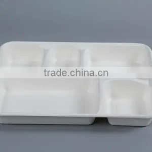 5 Compartment Shallow Tray From Sugarcane thumbnail-2