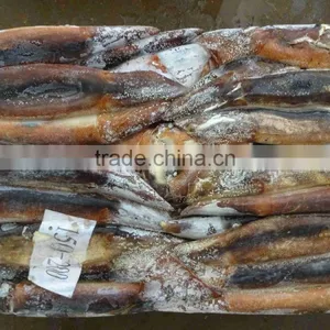 New Arrival Frozen Squid Chocolate Illex Argentina Squid thumbnail-1