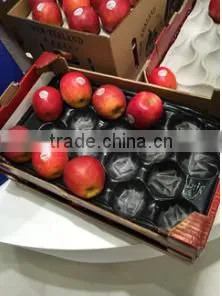 SGS Certificate Pure Material Made Plastic Packaging Inner Tray thumbnail-6