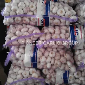 New Crop Fresh Jinxiang Normal White Garlic 5cm And Up In Mesh Bag Packing thumbnail-3