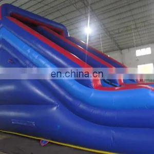 Custom Inflatable Pool Water Slide Hippo Inflatable Water Slide thumbnail-5