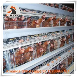 Libya Chicken Farming Hot Galvanized Cage & A Type Battery Laying Hen Cage & Layer Cage & Chicken Coop With 120 Birds thumbnail-2