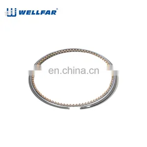 Wellfar Honda R18A1/A2 Engine Auto Parts 81mm Engine Piston Rings For Honda Engine thumbnail-5