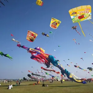 OEM All Shapes, Design and Kinds of Kites for Advertising and Activities Occasions thumbnail-1