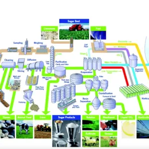 Genyond Sugar Beet Processing Line thumbnail-5