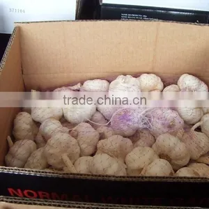 White Garlic,pure White Garlic thumbnail-4