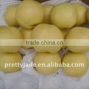 High Quality Fresh ya Pear thumbnail-1