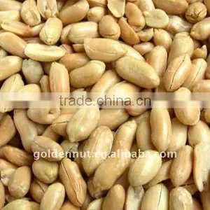 Salted Peanut thumbnail-1