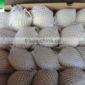 2013 Fresh Pear 18kg 96# thumbnail-2
