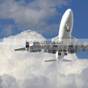 Best Service Air Freight Forwarder to Indonesia thumbnail-3