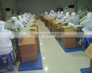 Linshu Evergreen Co., Ltd. company overview - view 2 thumbnail