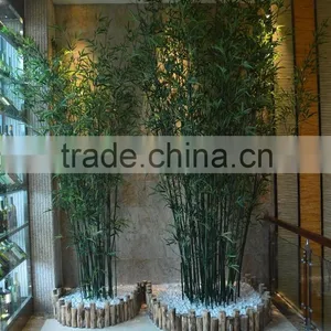 2016 New Artificial Ornamental Bamboo Plant thumbnail-1