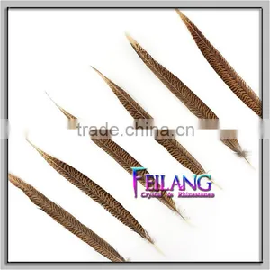 16-18inches Ring Neck Pheasant Feathers thumbnail-2
